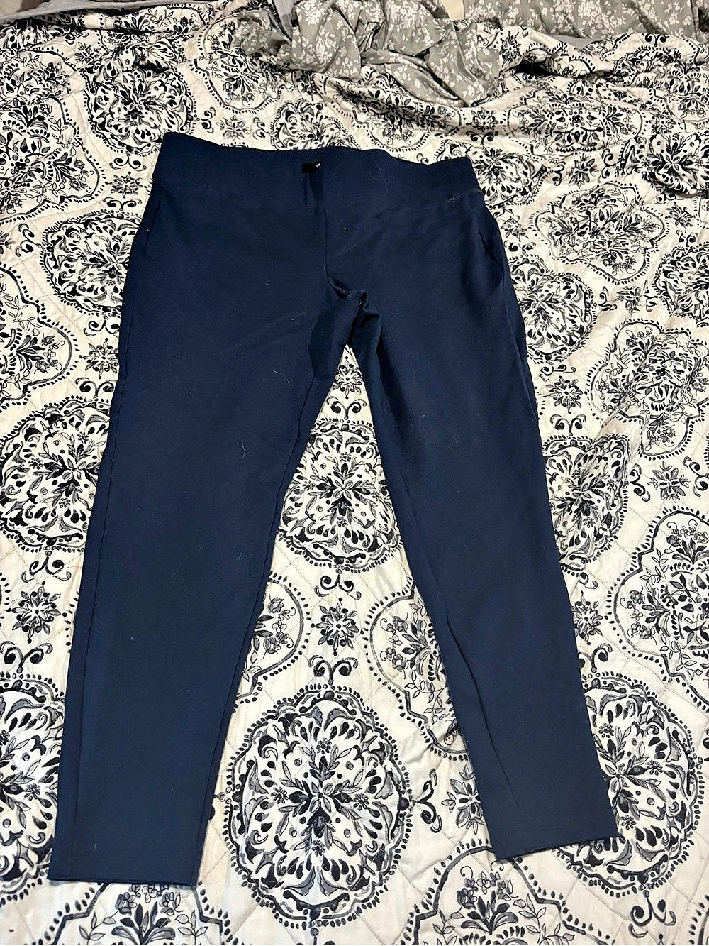 Torrid Studio Pixie Luxe Ponte Skinny Pant Blue 2X